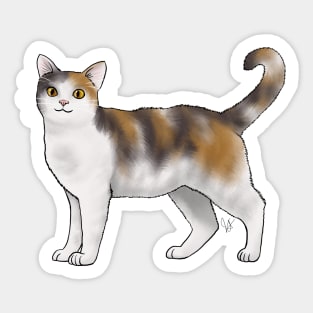 Cat - American Wirehair - White and Calico Sticker